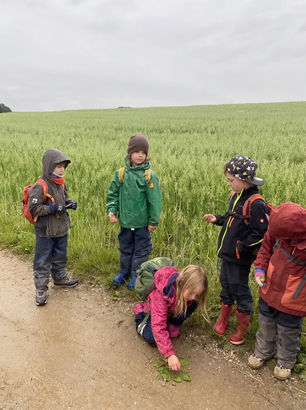 Kinder mit Rucksäcken gehen über den Feldweg zum Wald