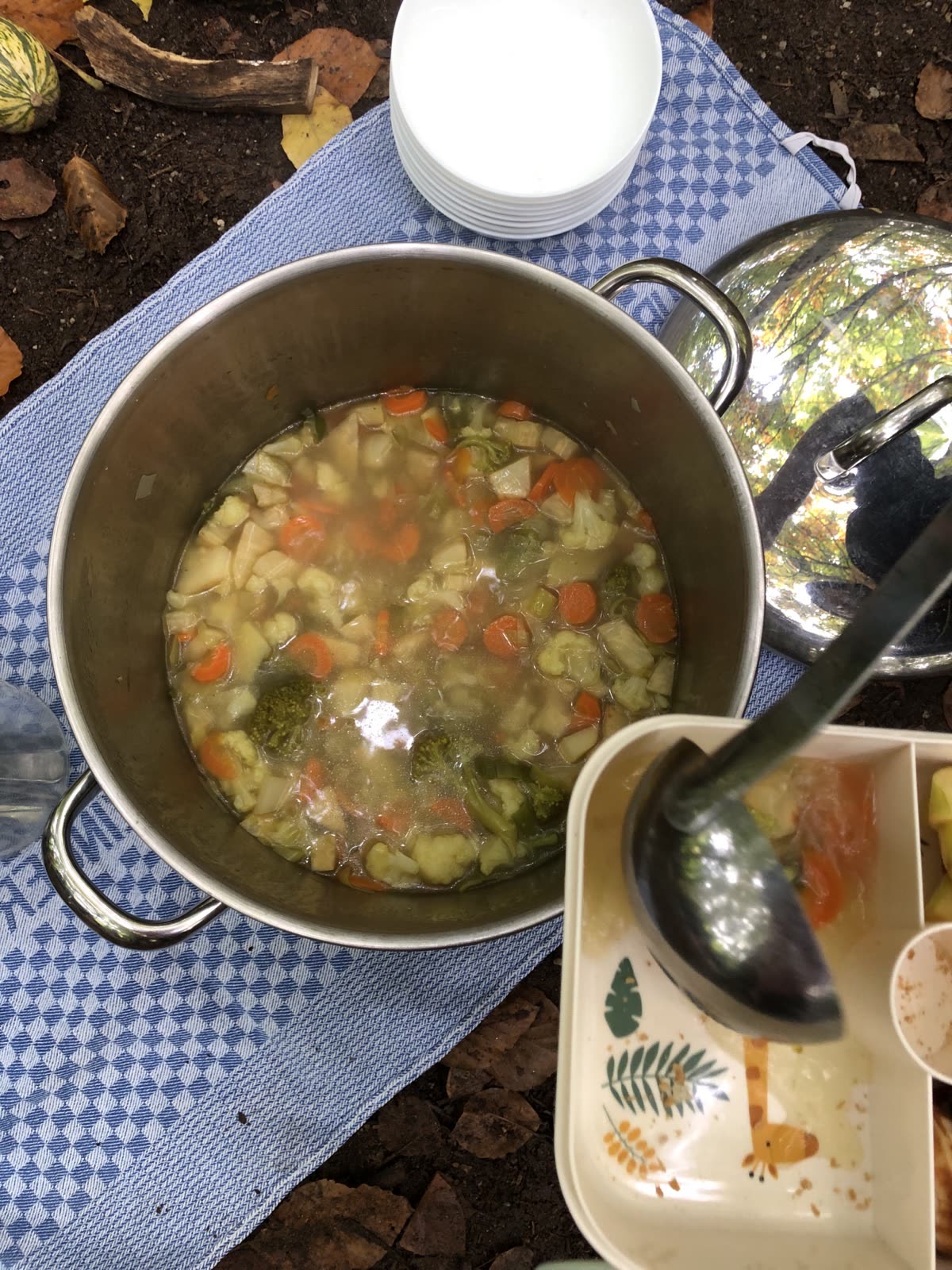 Gemüsesuppe aus dem eigenen Beet kocht auf dem Gaskocher