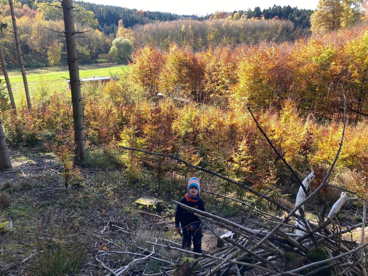 Goldener Herbstwald mit spielenden Kindern